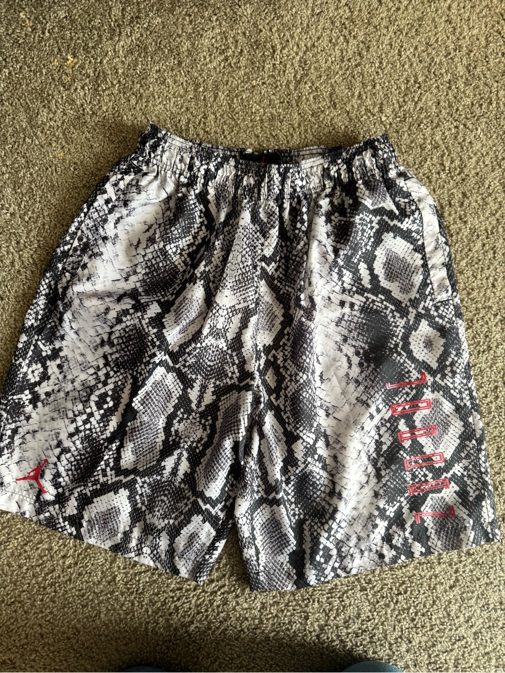 Nike Air Jordan Snake Skin Retro 11 Legacy Shorts